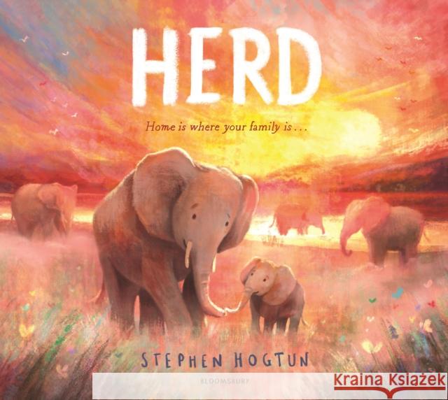 HERD Stephen Hogtun 9781526610737 Bloomsbury Publishing PLC - książka
