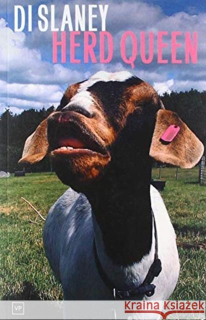 Herd Queen Di Slaney 9781912436415 Valley Press - książka