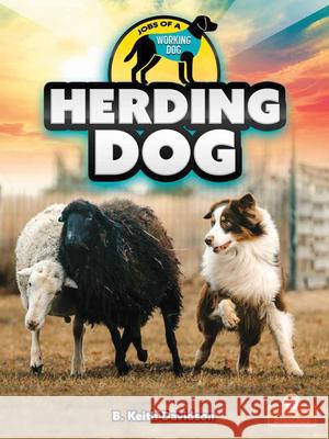 Herding Dog B. Keith Davidson 9781039647367 Crabtree Branches - książka