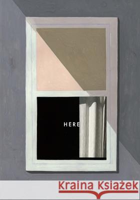 Here Richard McGuire 9780241145968 Hamish Hamilton - książka