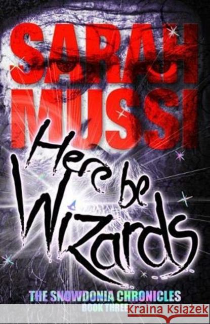 Here be Wizards: The Snowdonia Chronicles: Book Three Sarah Mussi 9781911342342 Vertebrate Publishing Ltd - książka