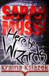 Here be Wizards: The Snowdonia Chronicles: Book Three Sarah Mussi 9781911342342 Vertebrate Publishing Ltd