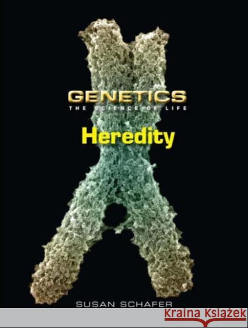 Heredity Susan Schafer 9780765681362  - książka