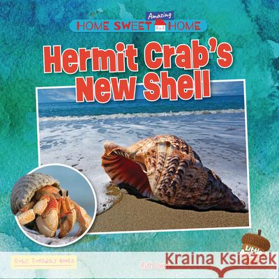 Hermit Crab's New Shell Ruth Owen 9781788566285 Ruby Tuesday Books - książka