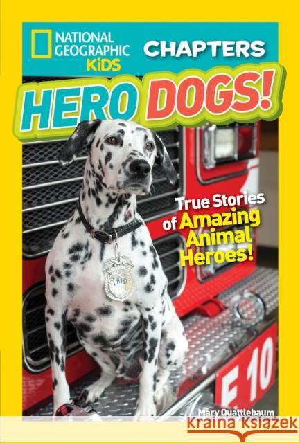 Hero Dogs!: True Stories of Amazing Animal Heroes! Quattlebaum, Mary 9781426328190 National Geographic Society - książka