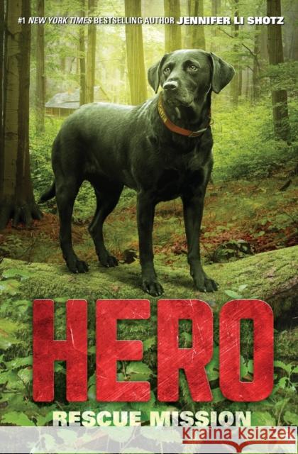Hero: Rescue Mission Jennifer Li Shotz 9780062560452 HarperCollins - książka