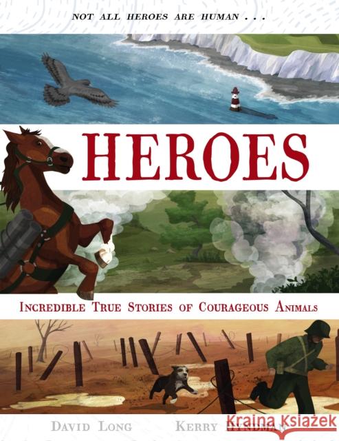 Heroes: Inspiring True Stories of Courageous Animals Long, David 9780571342105 Faber & Faber Children's - książka