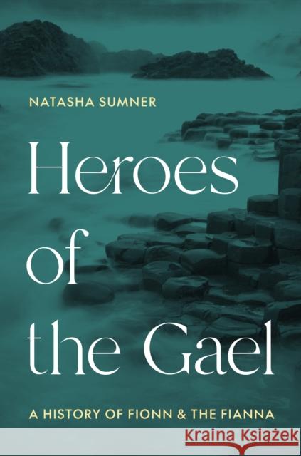 Heroes of the Gael: A History of Fionn and the Fianna Professor Natasha Sumner 9780691204734 Princeton University Press - książka