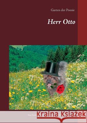 Herr Otto: Eine Entdeckungsreise für Kinder ab 10 bis hin zum Greis Brauer, Sabine 9783741251559 Books on Demand - książka