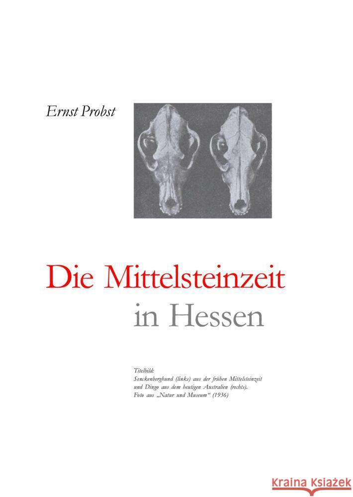 Hessen in der Mittelsteinzeit Probst, Ernst 9783384444752 tredition - książka