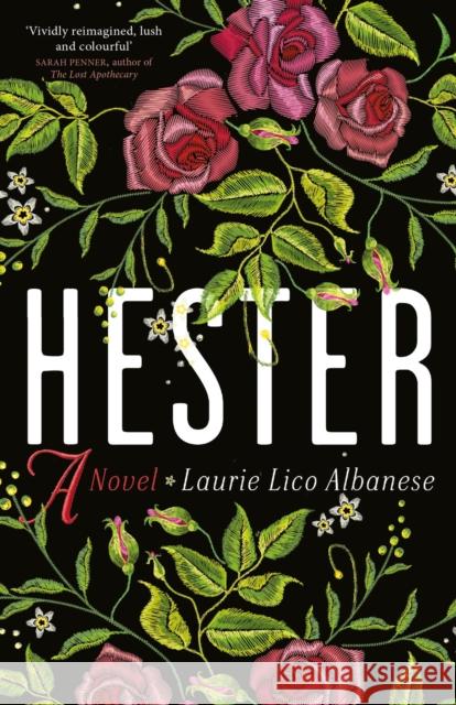 Hester: a bewitching tale of desire and ambition Laurie Lico Albanese 9780715654842 Duckworth Books - książka