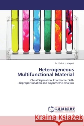 Heterogeneous Multifunctional Material Mayani, Vishal J. 9783845474410 LAP Lambert Academic Publishing - książka