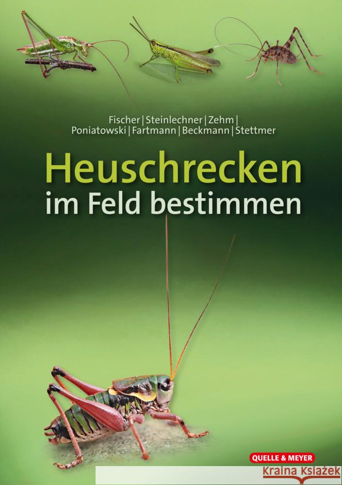 Heuschrecken im Feld bestimmen Fischer, Jürgen, Steinlechner, Daniela, Zehm, Andreas 9783494019284 Quelle & Meyer - książka