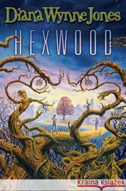 Hexwood Diana Wynne Jones 9780007333875 HarperCollins Publishers - książka