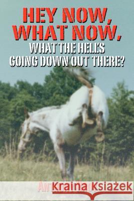 Hey Now, What Now: What The Hell's Going Down Out There? Broy, Anthony 9781469961071 Createspace - książka