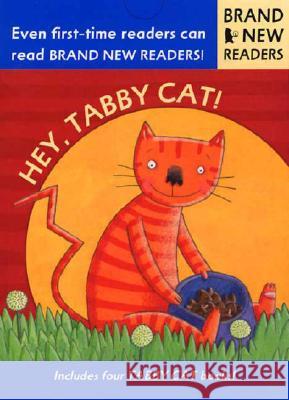 Hey, Tabby Cat! Phyllis Root Katherine McEwen 9780763608002 Candlewick Press (MA) - książka