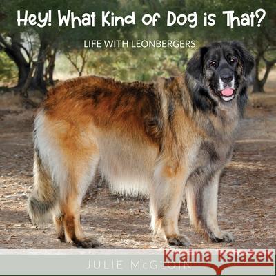 Hey! What Kind of Dog is That?: Life With Leonbergers Julie McGloin 9781662913679 Gatekeeper Press - książka
