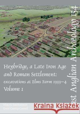 Heybridge: A Late Iron Age and Roman Settlement: Excavations at Elms Farm 1993-5, Volume 1 Mark Atkinson 9781841940991 Oxbow Books - książka