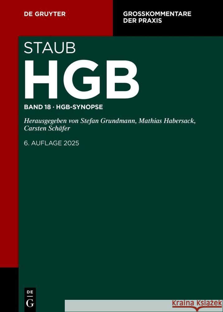 Hgb-Synopse Johannes W. Flume Matthias L?deking 9783111534299 de Gruyter - książka