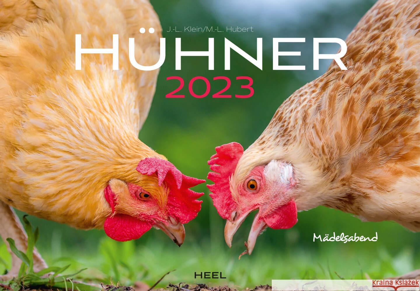 Hühner 2023  9783966644556 Heel Verlag - książka