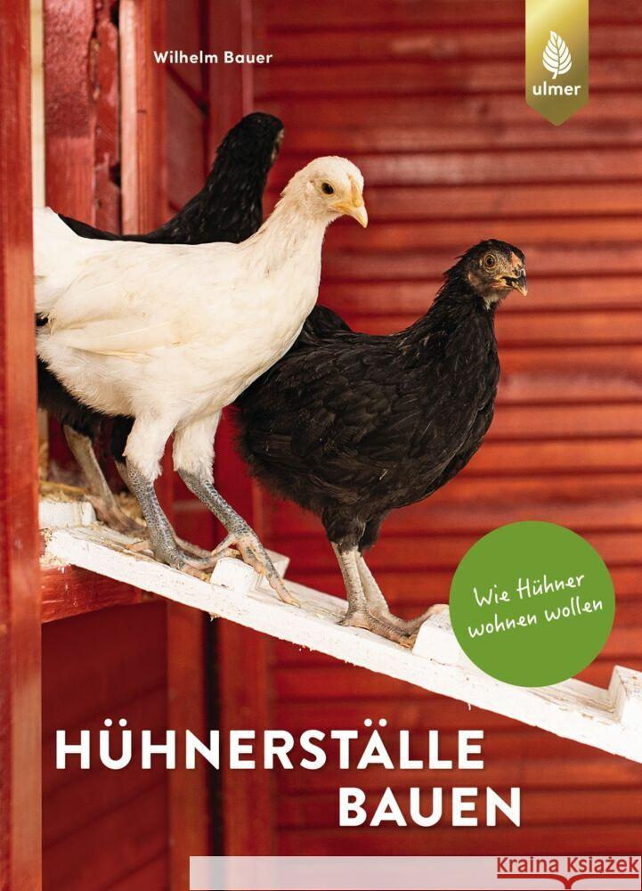 Hühnerställe bauen Bauer, Wilhelm 9783818617721 Verlag Eugen Ulmer - książka