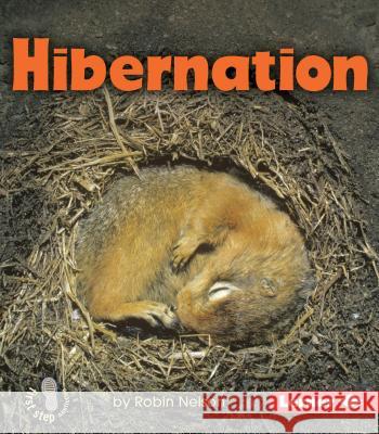 Hibernation Robin Nelson 9780761356813 Lerner Classroom - książka