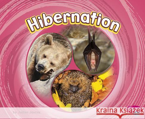 Hibernation Jaclyn Jaycox 9781977112804 Pebble Books - książka