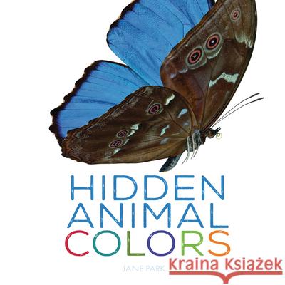 Hidden Animal Colors Jane Park 9781728445663 Millbrook Press (Tm) - książka