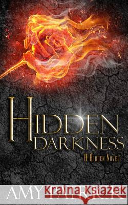 Hidden Darkness, Book 4 of the Hidden Saga Amy Patrick 9780997381009 Oxford South Press - książka