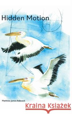Hidden Motion Matthew Babcock   9781646629398 Finishing Line Press - książka
