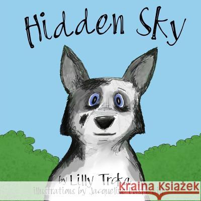 Hidden Sky Lilly Trcka Jacqueline Paske Gill 9781984086792 Createspace Independent Publishing Platform - książka