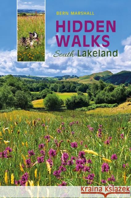 Hidden Walks: South Lakeland Bern Marshall 9781910837511 Carnegie Publishing Ltd - książka