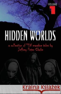 Hidden Worlds - Volume 1 Jeffrey Peter Clarke 9781786952936 Fiction4all - książka