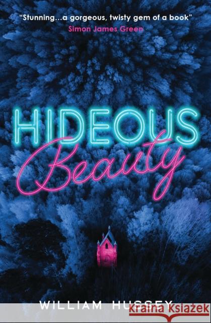 Hideous Beauty William Hussey   9781474966177 Usborne Publishing Ltd - książka