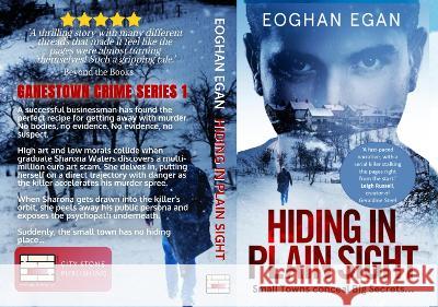 Hiding in Plain Sight Eoghan Egan   9781915399113 City Stone Publishing - książka