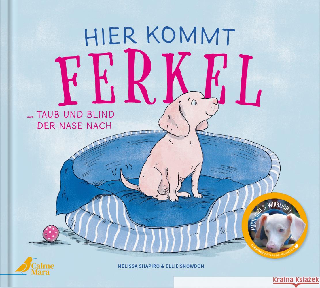 Hier kommt Ferkel Shapiro, Melissa 9783948877477 CalmeMara Verlag - książka