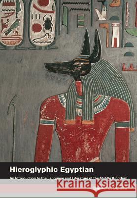 Hieroglyphic Egyptian: An Introduction to the Language and Literature of the Middle Kingdom Daniel Selden 9780520267336 University of California Press - książka