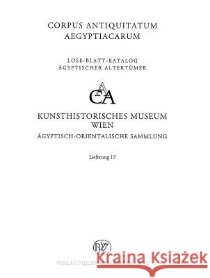 Hieroglyphische Inschriften aus der Ägyptischen Spätzeit Satzinger, Helmut 9783805344227 Zabern - książka