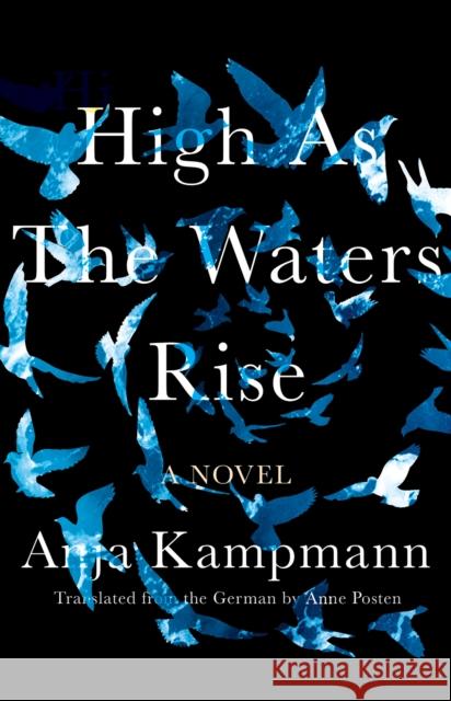 High As The Waters Rise: A Novel Anne Posten 9781948226523 Catapult - książka