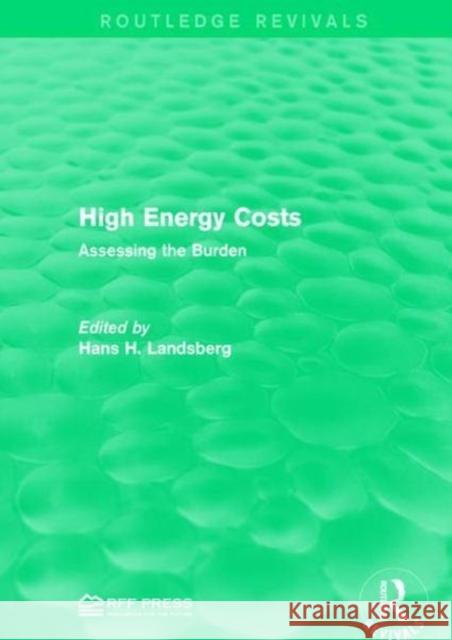 High Energy Costs: Assessing the Burden  9781138120655 Taylor and Francis - książka