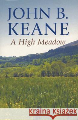 High Meadow John B. Keane 9781856350907 Mercier Press - książka