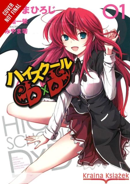 High School DxD, Vol. 1 Ichiei Ishibumi 9780316407366 Yen Press - książka