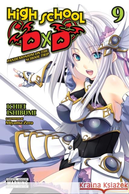 High School DxD, Vol. 9 (light novel) Ichiei Ishibumi 9781975343811 Little, Brown & Company - książka
