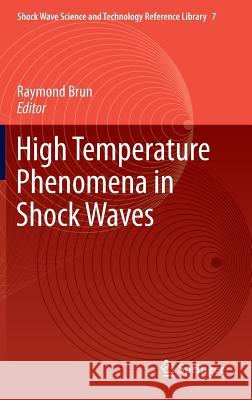 High Temperature Phenomena in Shock Waves Raymond Brun 9783642251184 Springer - książka