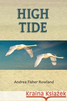 High Tide Anne M. Carley Dorene Fisher Andrea Fisher Rowland 9781931922043 Chenille Books - książka