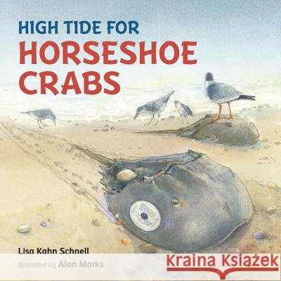 High Tide for Horseshoe Crabs Lisa Kahn Schnell Alan Marks Alan Marks 9781580896047 Charlesbridge Publishing - książka