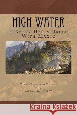 High Water: History with a hint of magic! Tolley, Megan S. 9781518708091 Createspace - książka