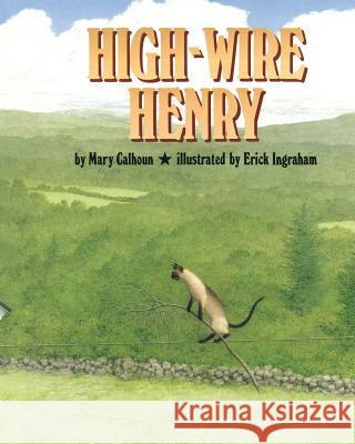 High-Wire Henry Mary Calhoun, Erick Ingraham 9781635618488 Echo Point Books & Media - książka