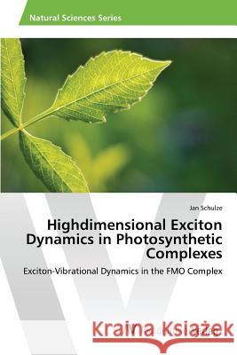 Highdimensional Exciton Dynamics in Photosynthetic Complexes Schulze Jan 9783639870336 AV Akademikerverlag - książka