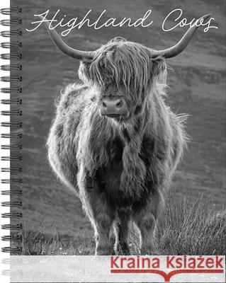 Highland Cows 2026 Engagement Calendar Willow Creek Press 9781549258480 Wlcp - książka